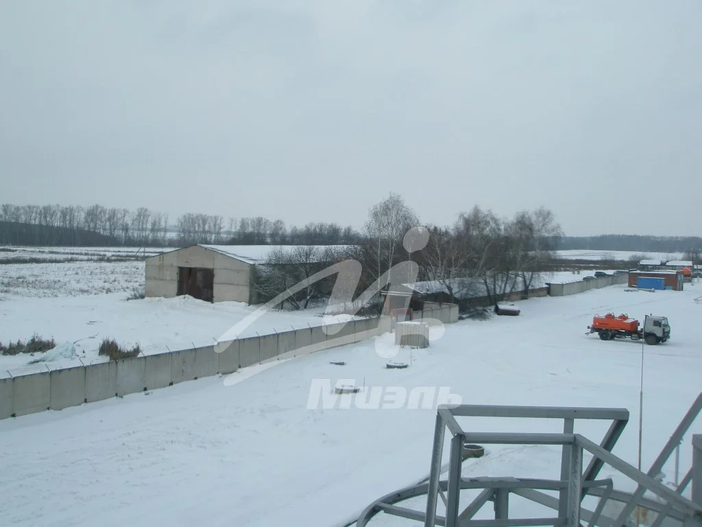 Продажа земельного участка, Кашира, Каширский район, ул. Центральная - Фото 11