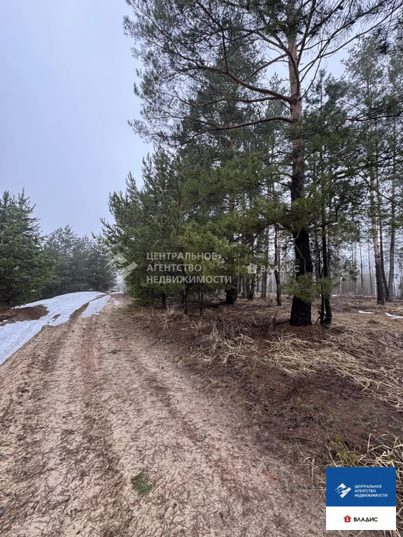 Продажа участка, Рязанский район, садоводческое товарищество ... - Фото 2