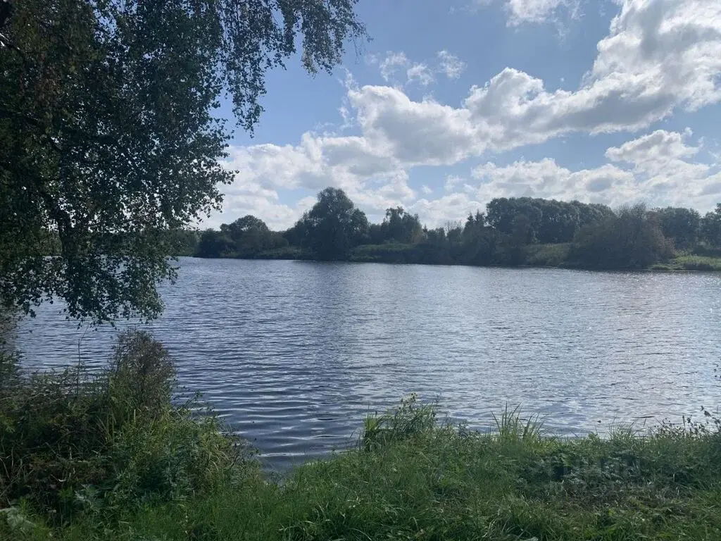 Купить дом 32.0м Тульская область, Алексин городской округ, Ладерево ... - Фото 1