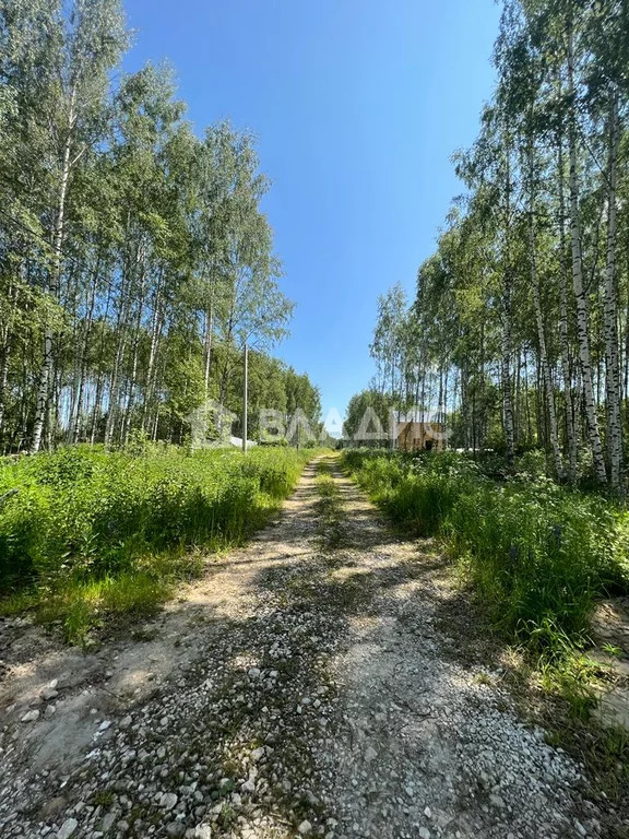 городской округ Владимир, Владимир, Октябрьский район, 2-я Сорокинская . - Фото 6