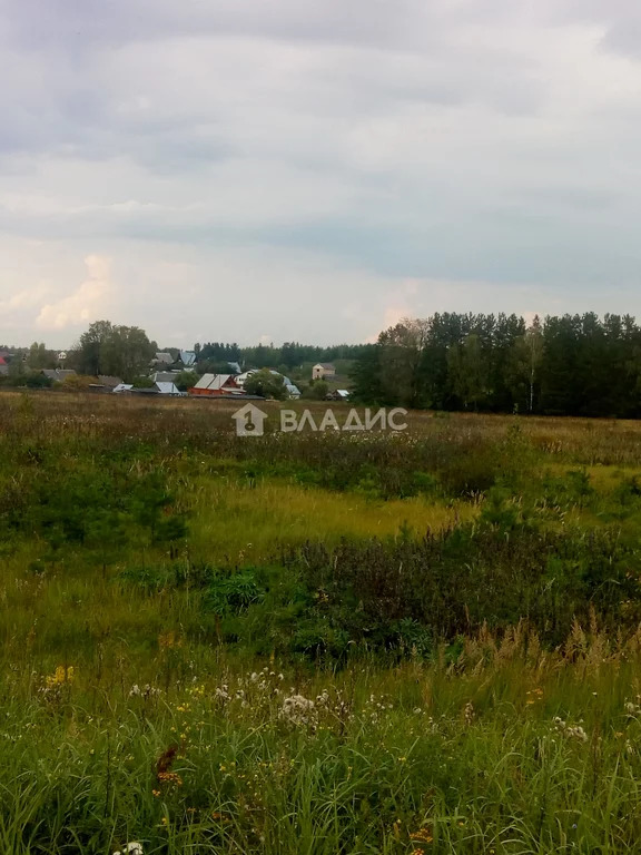 Земельный участок на продажу, Судогодский район, село Ликино, . - Фото 0