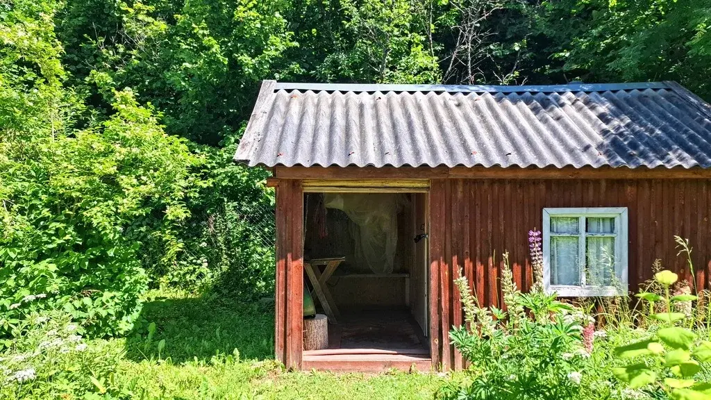Очень уютный хуторок в лесной роще под Псковом - Фото 10