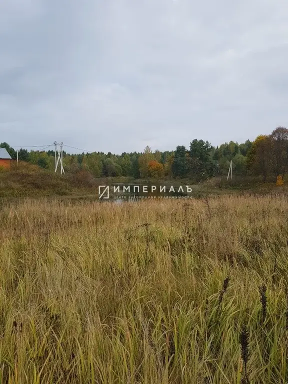 Продается земельный участок в д. Трубицыно Боровского района - Фото 2