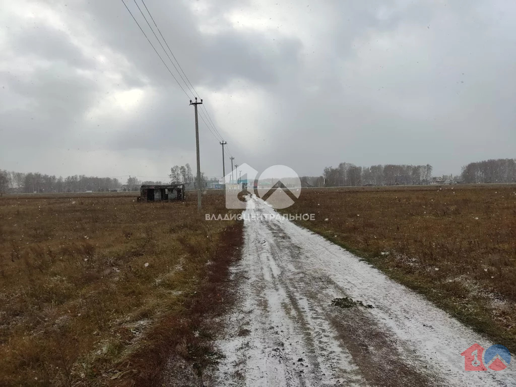 Ордынский район, село Вагайцево, улица Шукшина,  земля на продажу - Фото 3