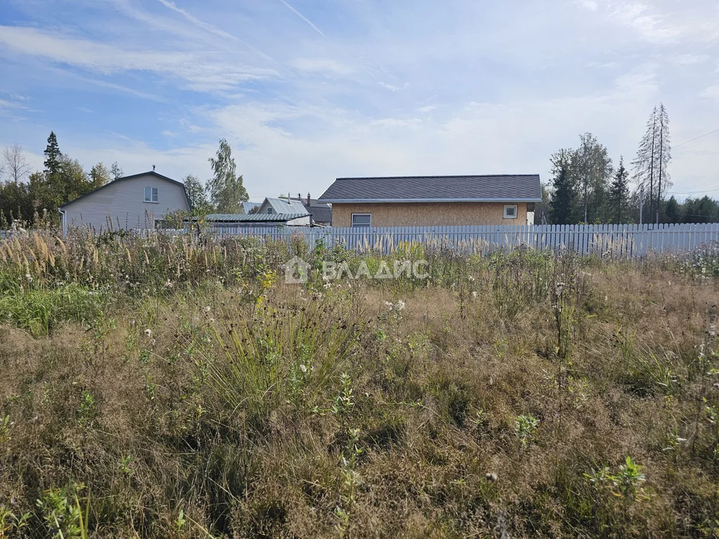 городской округ Солнечногорск, дачный посёлок Пятницкие дачи,  земля ... - Фото 8