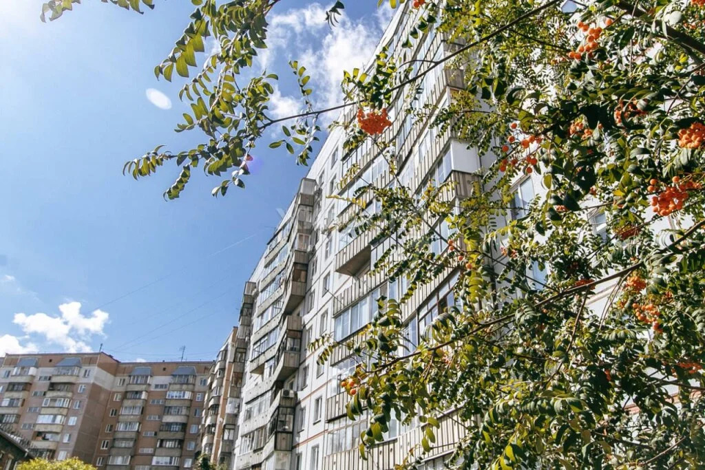 Продажа квартиры, Новосибирск, ул. Гоголя - Фото 23