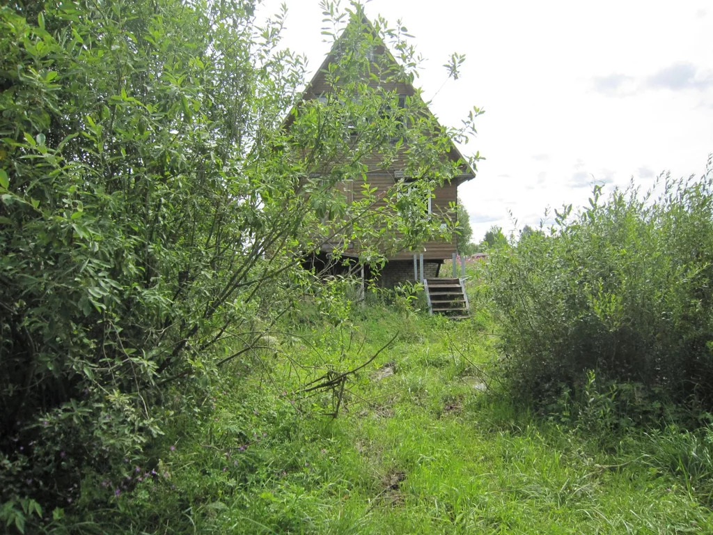 Тишина и простор Конаковской деревни Горбасьево - экология, лес и ... - Фото 8