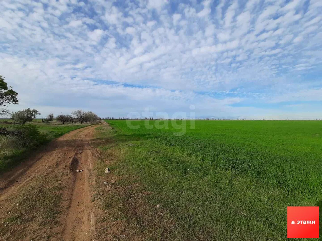 Продажа участка, Шелковичное, Сакский район - Фото 5