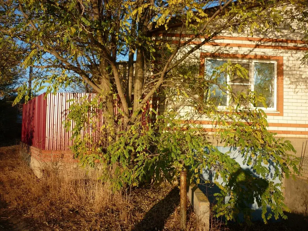 Продам дом пл.114 кв.м. ан берегу реки в с. Енотаевка - Фото 4