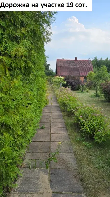 Дом 219 м на участке 19 сот. - Фото 34