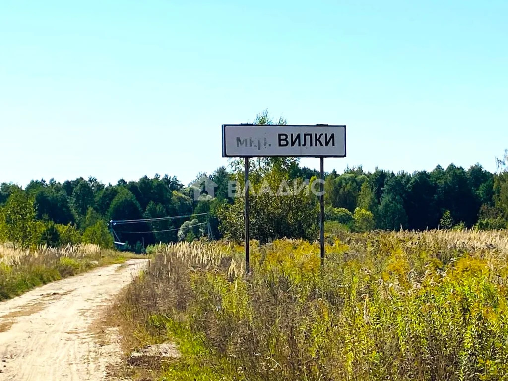 городской округ Владимир, деревня Вилки, Октябрьский район,  земля на ... - Фото 4