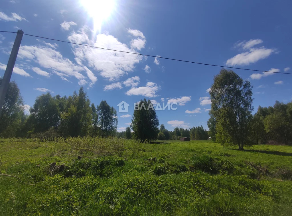 городской округ Владимир, Владимир, Октябрьский район, Житневская ... - Фото 2