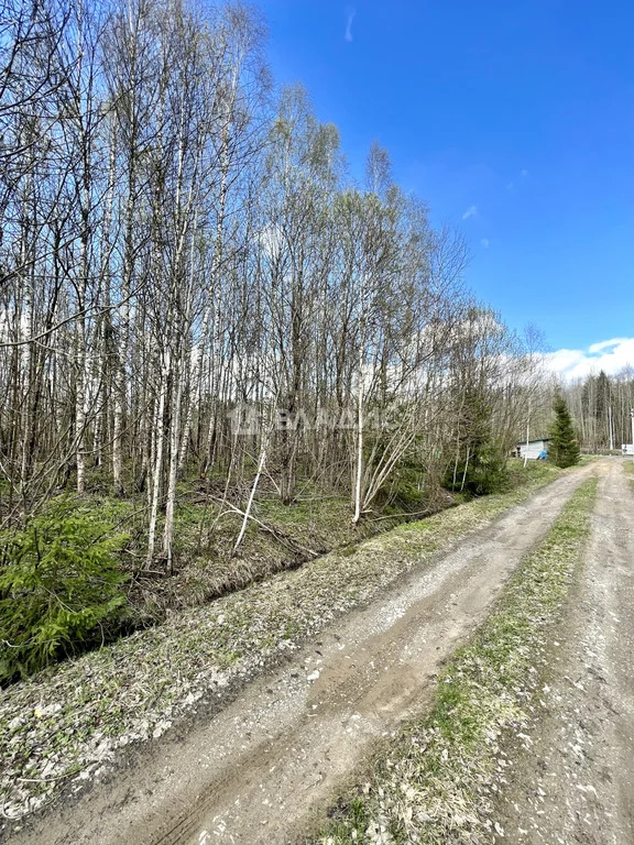 Троицкий административный округ, садоводческое некоммерческое ... - Фото 3