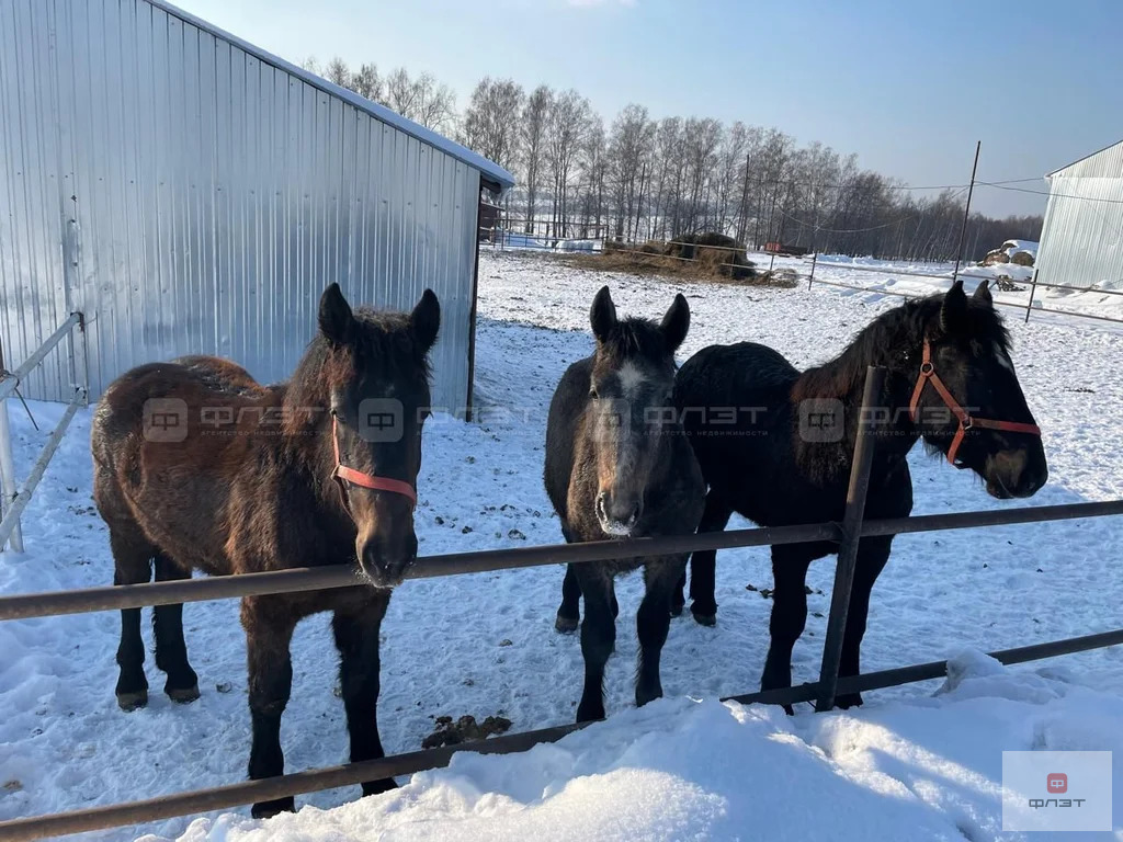 Продажа участка, Новое Шигалеево, Пестречинский район, ул. Марфуга ... - Фото 11