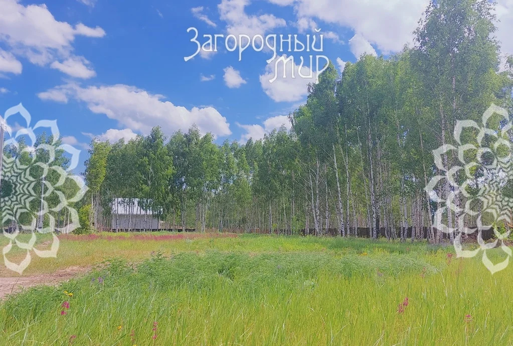 Продам участок, Горьковское шоссе, 29 км от МКАД - Фото 5