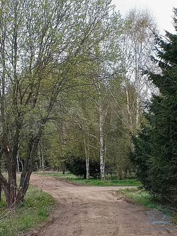 Дом 136 м на участке 16,2 сот. - Фото 33