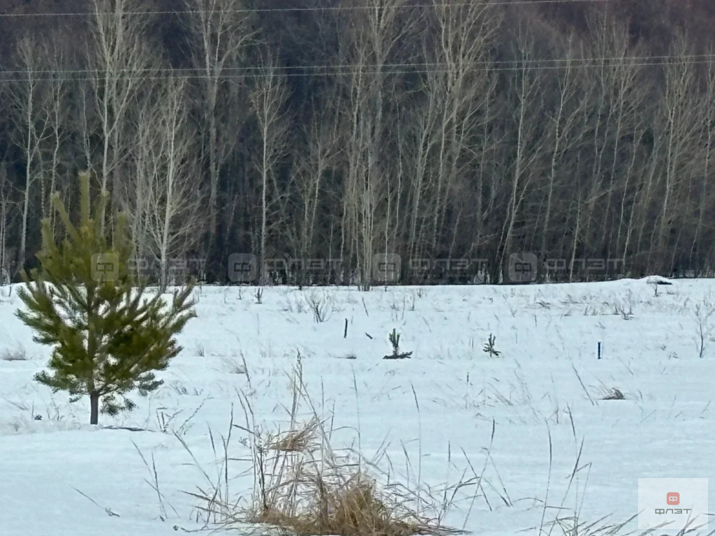 Продажа участка, Мысовский, Лаишевский район, ул. Рябиновая - Фото 6