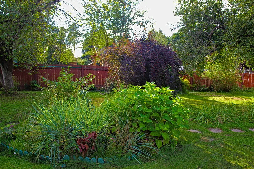 Продажа участка, Загорянский, Щелковский район, улица Николая Озерова - Фото 5