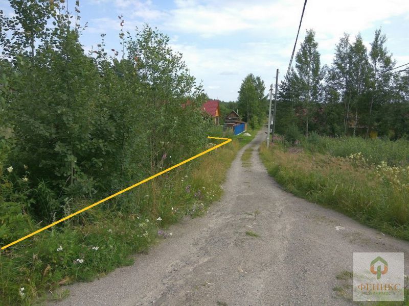 Нет света в приозерском районе. СНТ речное Нахабино. СНТ речное Красногорский район. СНТ гавань Приозерский район. СНТ Содружество Приозерский район.