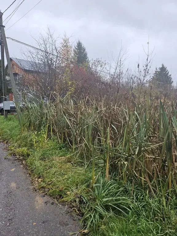 Участок на Рублевке в коттеджном поселке 15 км с выездом на платку - Фото 3