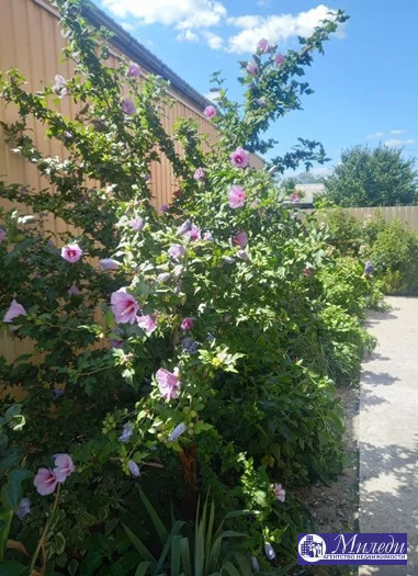 Продажа квартиры, Батайск, Максима Горького улица - Фото 6