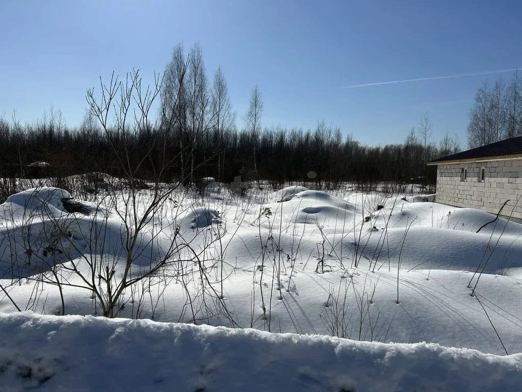 Продажа участка, Богородский г. о. - Фото 0