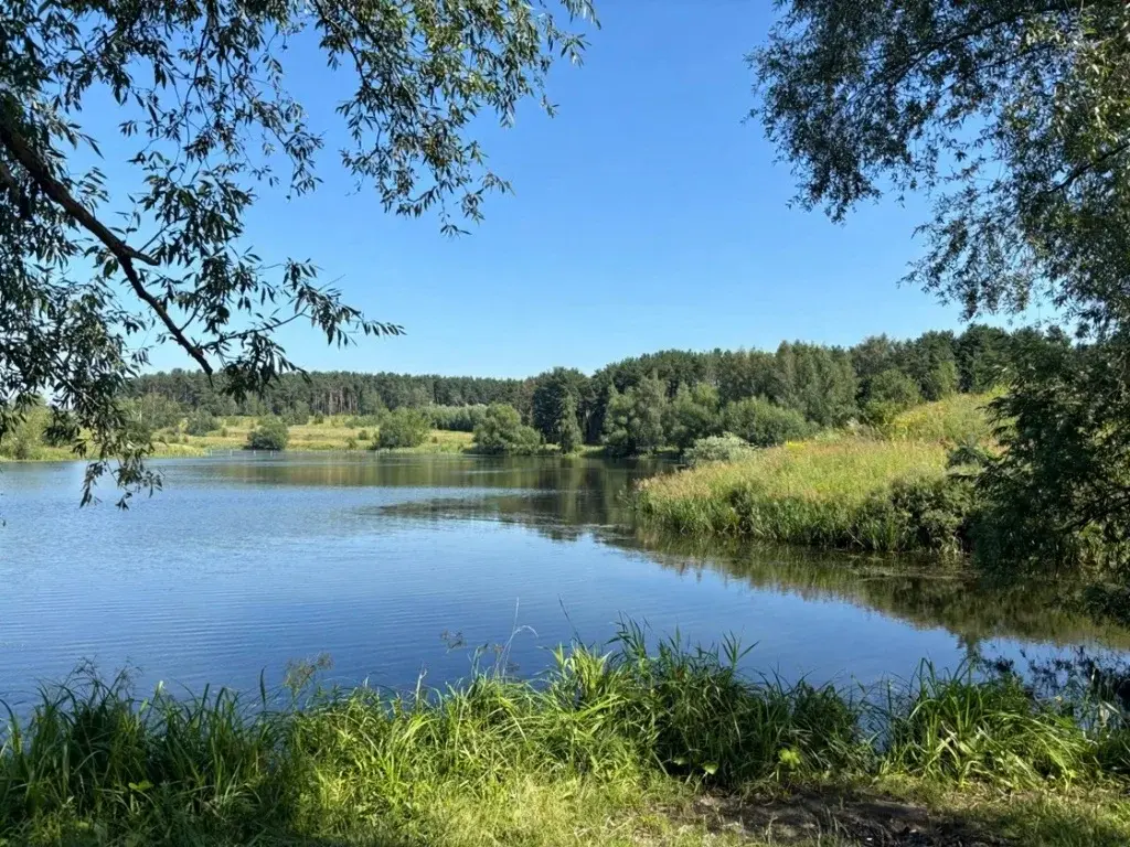 1-к квартира, г.Красногорск, с. Петрово-Дальнее - Фото 20