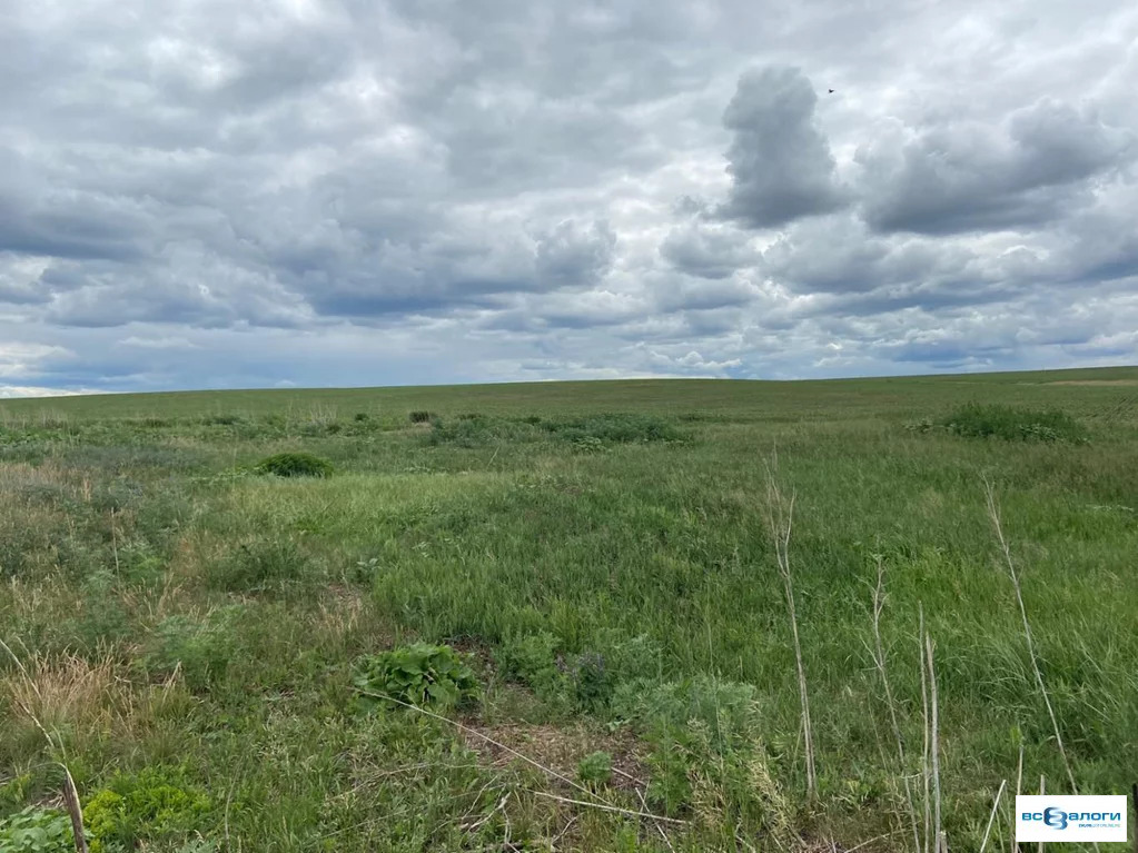 Продажа готового бизнеса, Маршанка, Красноярский район, Самарская . - Фото 2