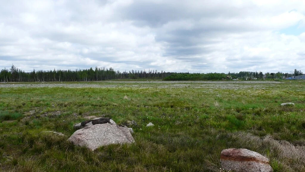 Продажа участка, Всеволожский район, сооружение 5 - Фото 5