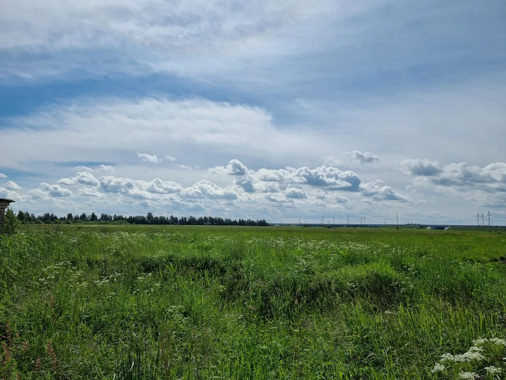 Продажа участка, Ям-Ижора, Тосненский район - Фото 7