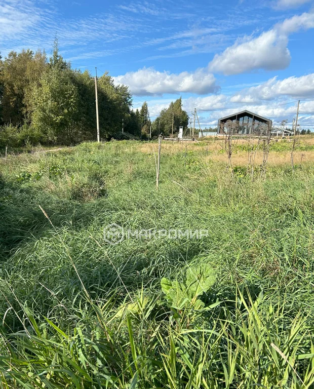 Продажа участка, Выборгский район - Фото 6