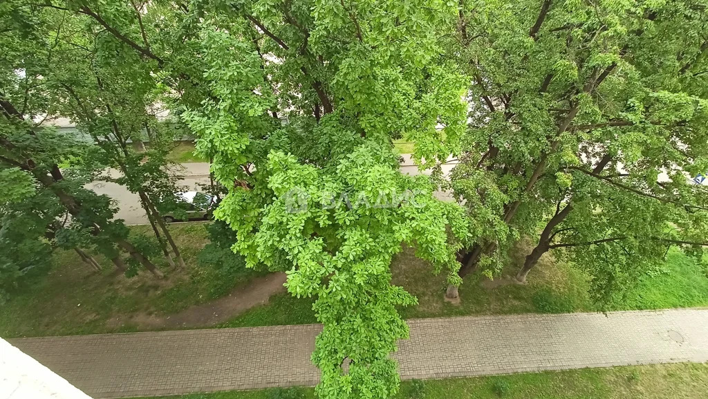 городской округ Балашиха, Балашиха, Московская улица, д.8, 1-комнатная ... - Фото 20