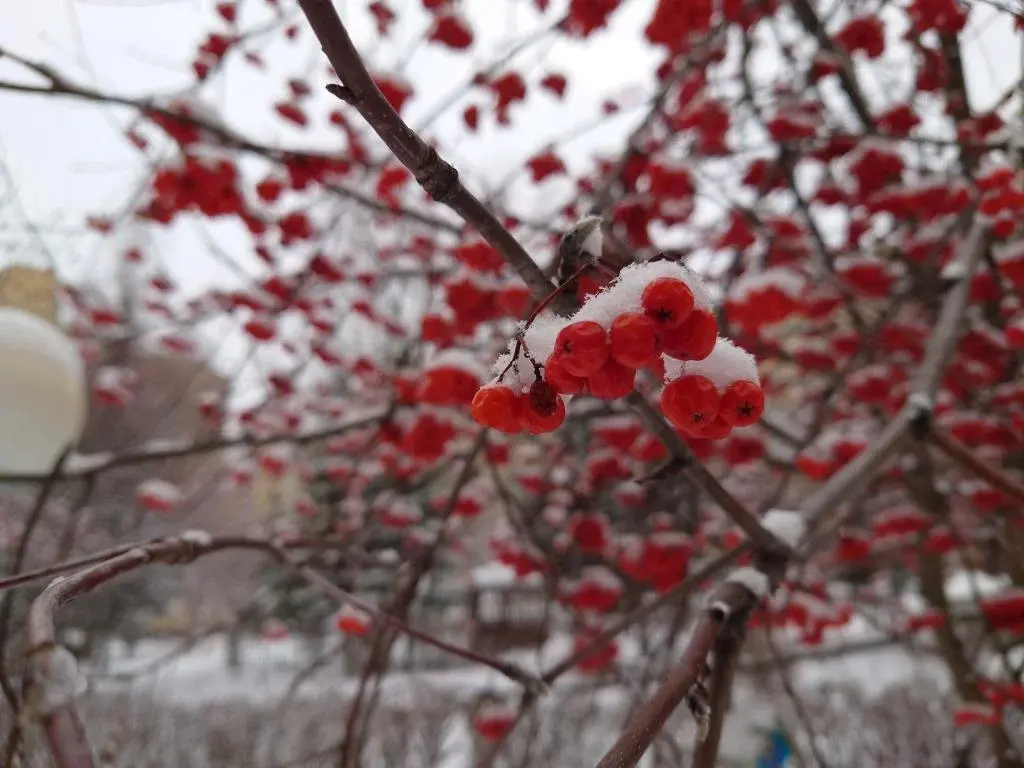 Квартира ЖК Серебряные ручьи, город Кемерово - Фото 18