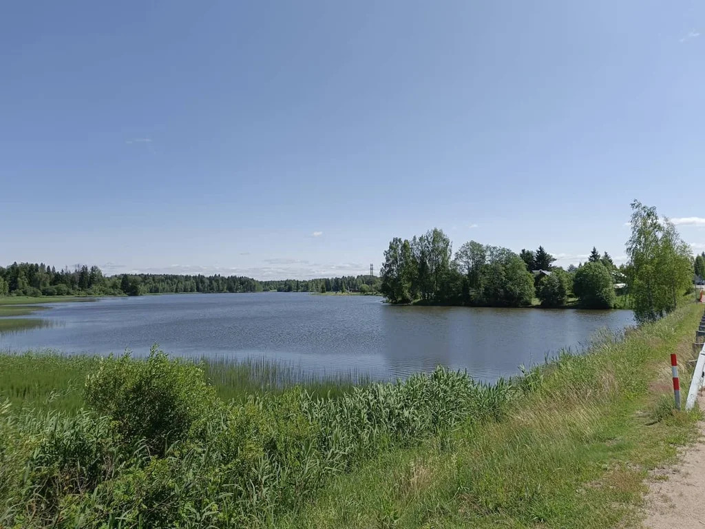 Продажа участка, Щемелинки, Шаховской район, Ягодная улица - Фото 12