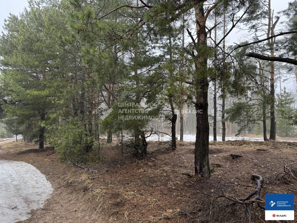 Продажа участка, Рязанский район, садоводческое товарищество ... - Фото 1