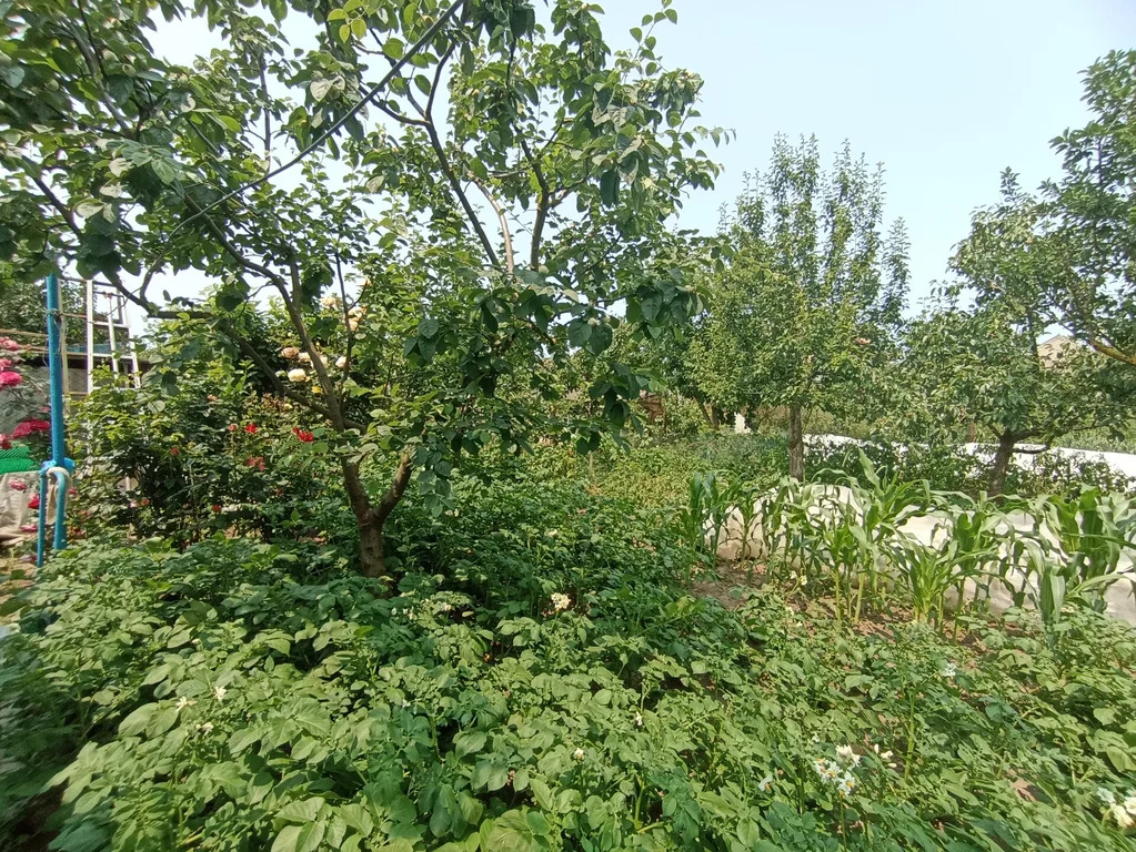 Продажа дома, Темрюк, Темрюкский район, ул. Кириллова - Фото 9