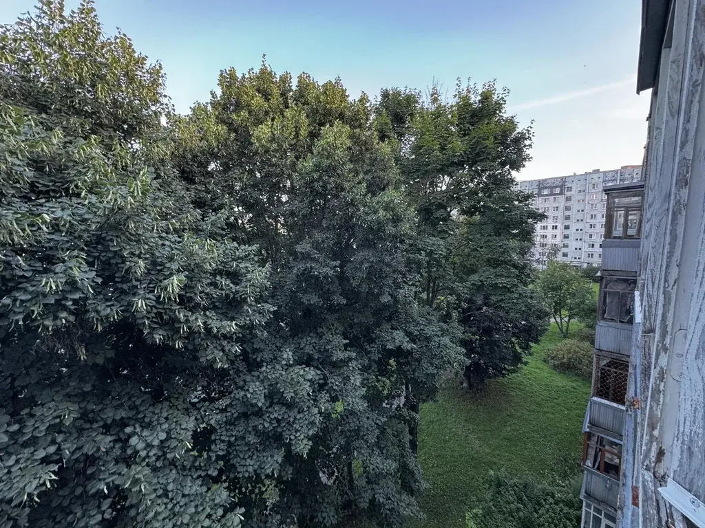 3-к пр-кт.Маркса, дом 10 - Фото 19