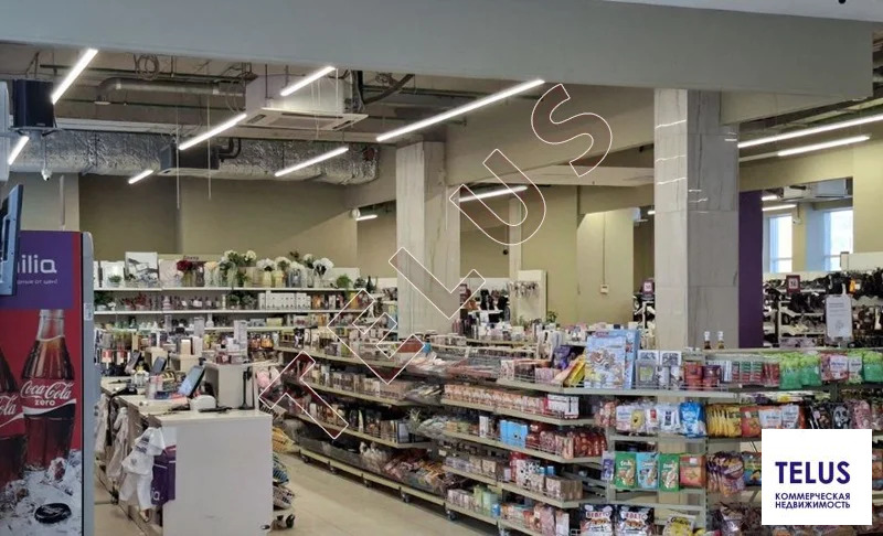 МО, Солнечногорск, ул Жилинская, 6058 м2, Здание-ТЦ (ном. объекта: ... - Фото 10