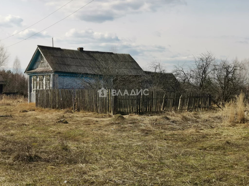 Гусь-Хрустальный район, село Цикуль, дом на продажу - Фото 17