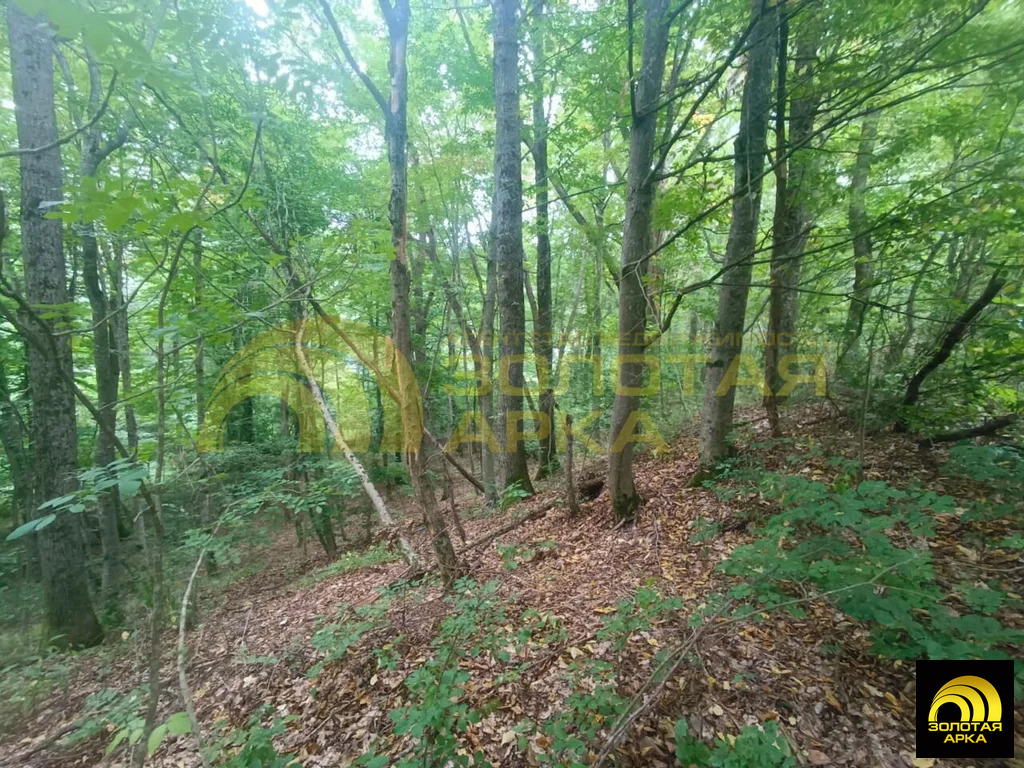 Продажа участка, Чибий, Северский район - Фото 12