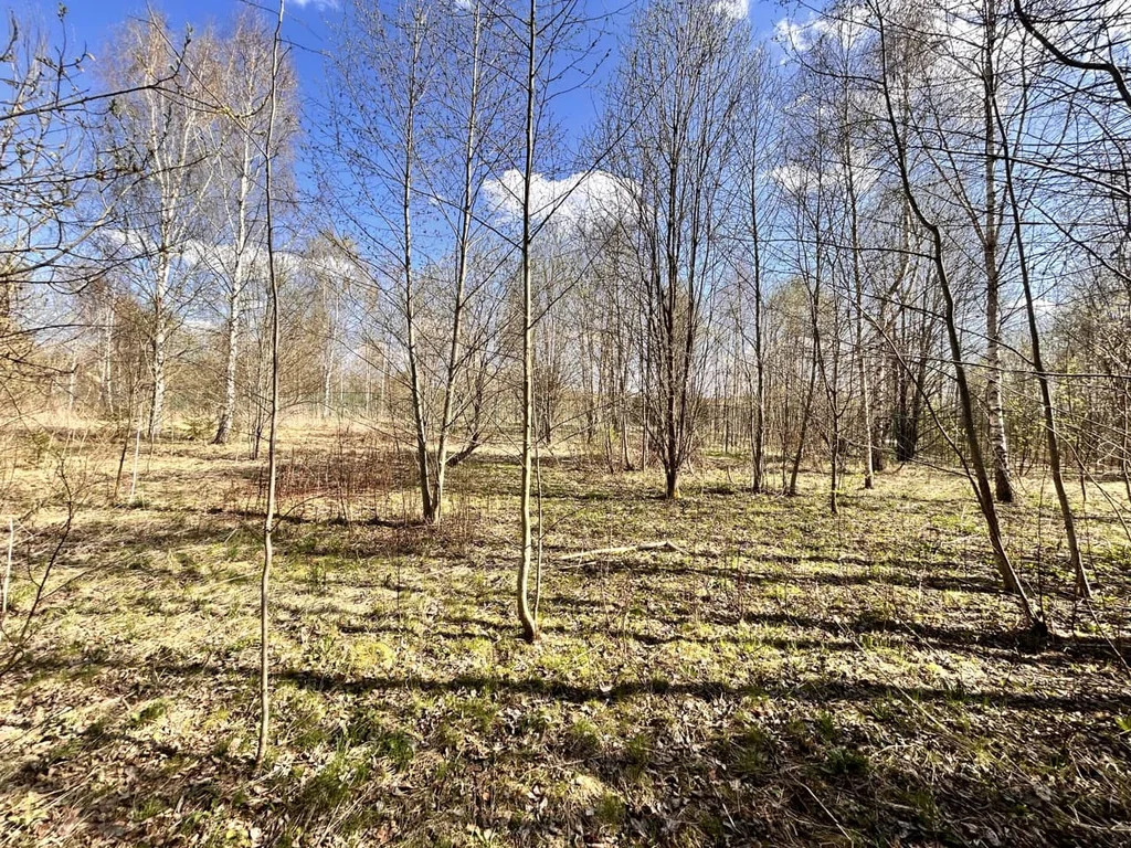 Продажа участка, Дмитровский район - Фото 7