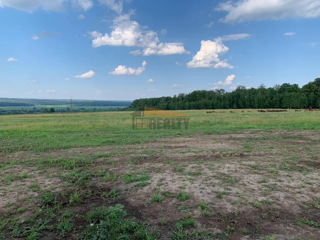 Продажа земельного участка, Кашира, Каширский район - Фото 1