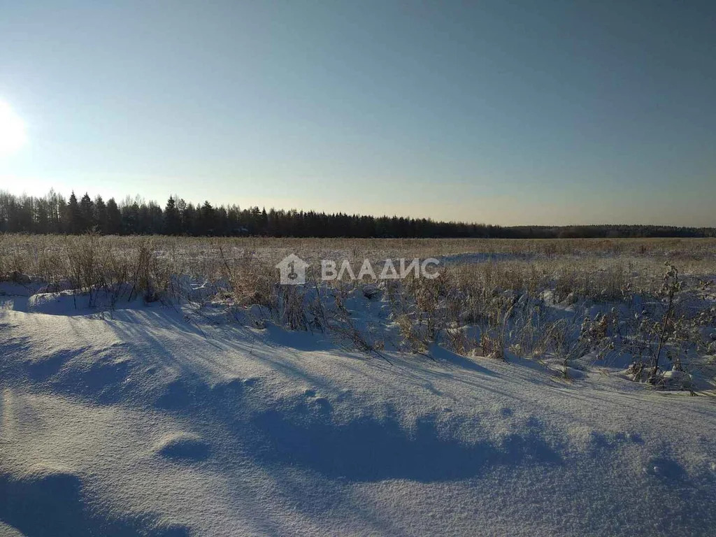 Камешковский район, село Лаптево,  земля на продажу - Фото 5