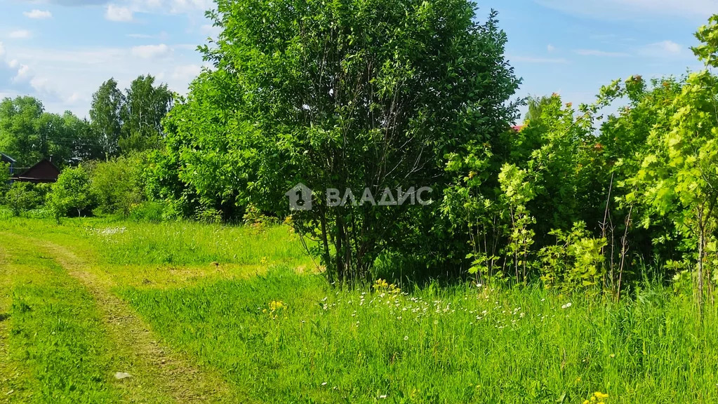 Суздальский район, село Красное, Центральная улица,  земля на продажу - Фото 1