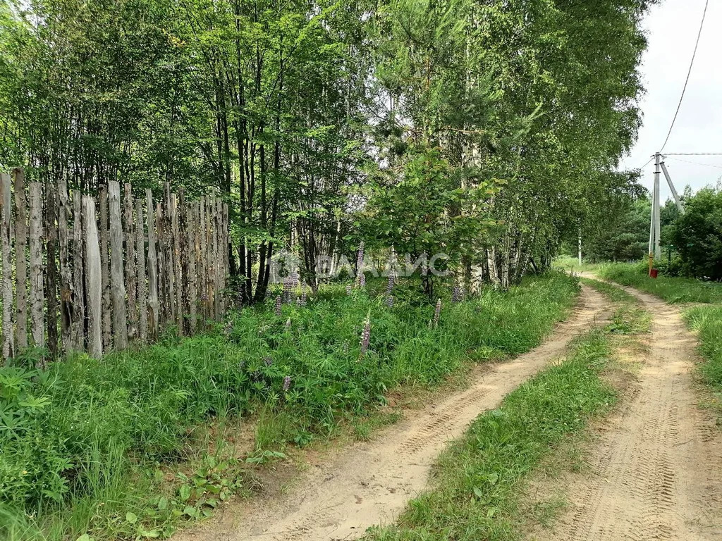 городской округ Владимир, Владимир, Октябрьский район, Селецкая улица, ... - Фото 7