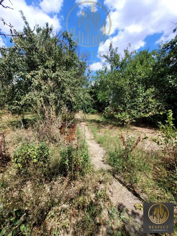 Продажа дома, Левокумка, Виноградная ул. - Фото 12