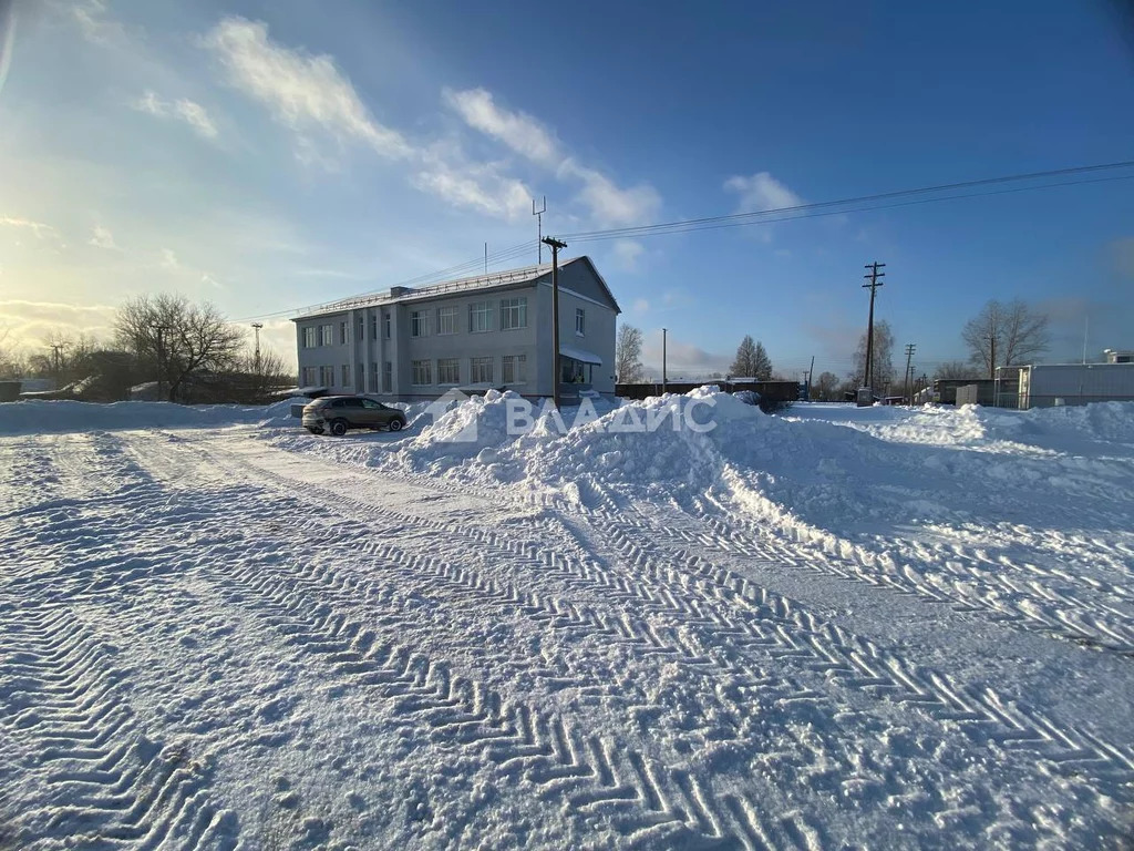 Селивановский район, посёлок Новый Быт, Песочная улица, д.31, ... - Фото 29