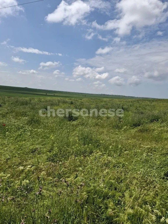 Продажа участка, Равнополье, Симферопольский район, ул. Калинина - Фото 3