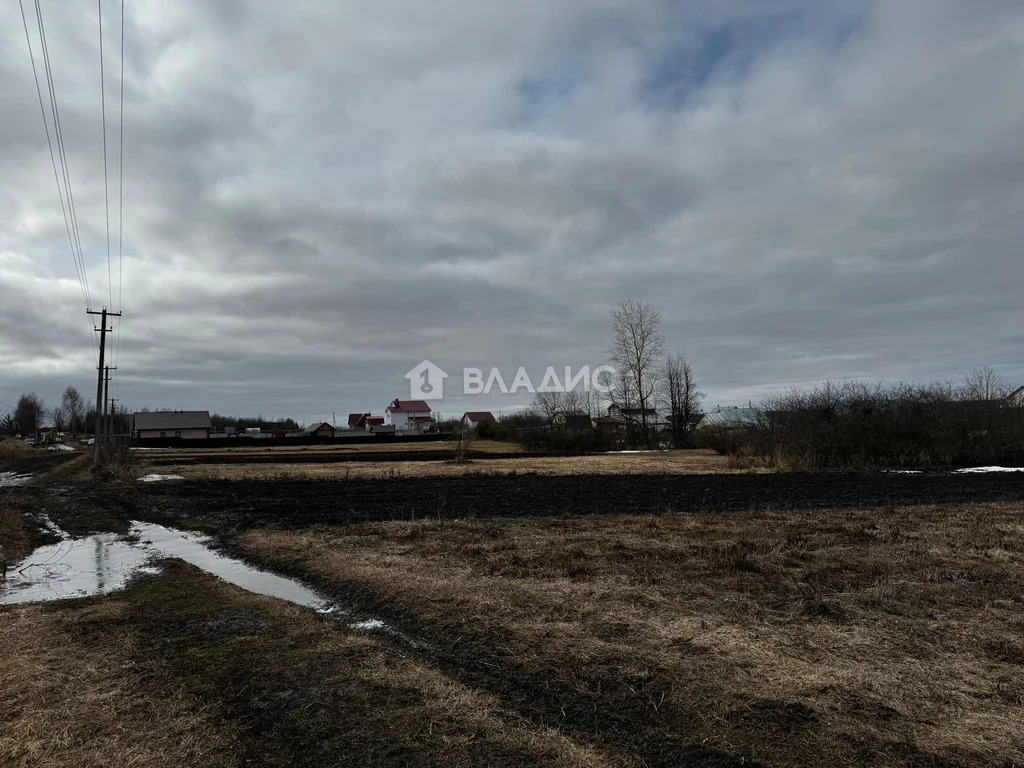 Суздальский район, село Павловское,  земля на продажу - Фото 1