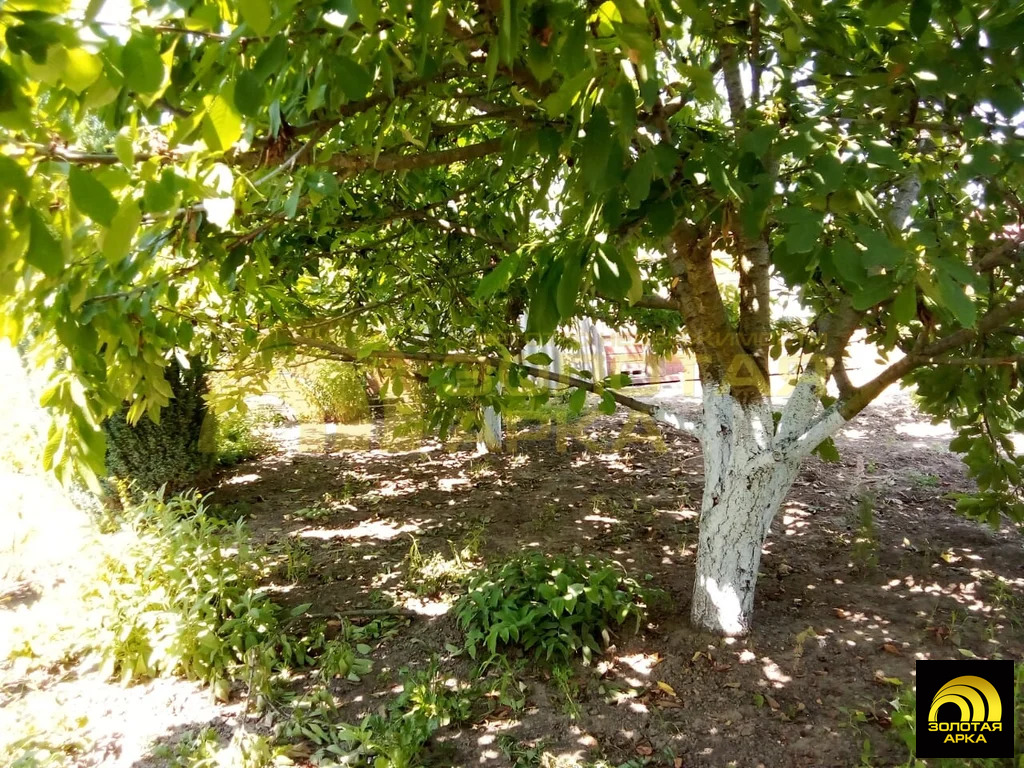 Продажа участка, Старотитаровская, Темрюкский район, Ильича пер. - Фото 4